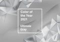 Ultimate gray color of the 2021 year.