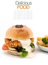 The ultimate homemade fish burger. Royalty Free Stock Photo