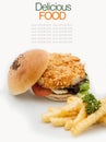 The ultimate homemade fish burger. Royalty Free Stock Photo