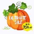 Ultimate sale vector design with ripe pumpkin Royalty Free Stock Photo