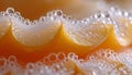 Ultra-close-up view of water droplets on peach skin, highlighting the delicate fuzz and vibrant orange hues