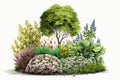 Ultra-Detail Beautiful Blooming gardens Spring Season, popular or the most searched in stock photos