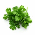 Ultra Hd Coriander Image On White Background