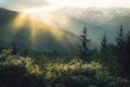 Ultra Hd Image of Bright Sunlight on AlaskaS Stunning Natural Landscape Royalty Free Stock Photo