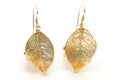 Ultra Hd Picture of Leafshaped Earrings Isolated on White Royalty Free Stock Photo