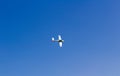 Ultra light, cessna plane from above with prolonge rope on blue sky. Sport, transportation background Royalty Free Stock Photo