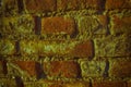 Ultra orange colored Old brick wall in a background image, good for web site or mobile devices