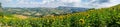 Ultra panoramic photo of a field of sunflowers and the Marche hills