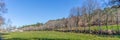 Ultra panoramic view, farm grass, close to the river with parallel trees