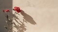 Ultra Photorealistic Carnation Foliage With Naturalistic Shadows On Concrete Wall Royalty Free Stock Photo