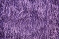 Ultra purple Dry straw grass background, hay texture after havest Royalty Free Stock Photo
