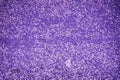 Ultra purple Texture of black rubber floor on playground. Ethylene Propylene Diene Monomeror EPDM