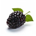 Ultra Realistic Blackberry On White Background - Detailed 8k Digital Photography