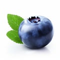 Ultra Realistic Blueberry With Explosive Pigmentation