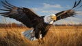 Realistic Bald Eagle Flying Over Tall Grass - Detailed Character Illustration