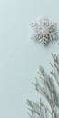 Ultra realistic flat lay of delicate silver snowflake with natural elements on soft blue background Royalty Free Stock Photo