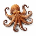 Ultra-realistic Octopus Photo With Soft Lighting And Super Detail