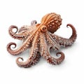 Ultra-realistic Octopus Photo With Soft Lighting And Super Detail