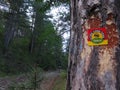 Ultra ursa trail, pindos national park