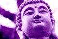 Ultra violet buddha with a tree crown