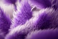 Ultra Violet feathers closeup Abstract pastel purple soft fluffy texture background design, ai generative