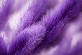 Ultra Violet feathers closeup Abstract pastel purple soft fluffy texture background design, ai generative