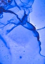 Ultramarine Fluid Background. Modern Alcohol Ink Royalty Free Stock Photo