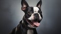 Ultrarealistic Boston Terrier Dog Portrait In Zbrush Style