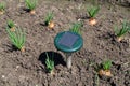 The ultrasonic pest repeller of moles is installed on the solar battery on a bed of green onions