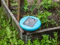 Ultrasonic, solar-powered mole repellent or repeller device in the soil in a vegetable bed with small green pea sprouts in Royalty Free Stock Photo