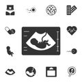 Ultrasonography icon. Simple element illustration. Ultrasonography symbol design from Pregnancy collection set. Can