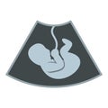 Ultrasound baby icon, flat style