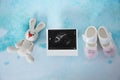 Ultrasound photo, baby shoes and toy on color background