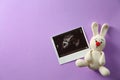 Ultrasound picture of baby and toy bunny on color background, top view