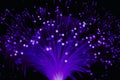 Ultraviolet Fiber Optic Lamp Light Royalty Free Stock Photo