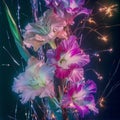 Ultraviolet imag of gladiolus blooms