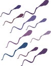 Ultraviolet spermatozoa sperm cell illustration in white background