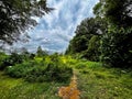 Ulu Sembawang scrubland and secondary forest Royalty Free Stock Photo