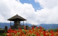 Ulun Danau Temple garden, Bali, Indonesia Royalty Free Stock Photo