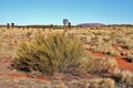 Uluru/Ayers Rock on distant horizon with bush in Australia