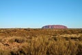 Uluru/Ayers Rock on horizon with vegetation in Australia