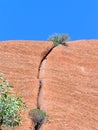 Ayers Rock- Uluru in Australia Royalty Free Stock Photo