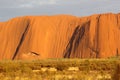 Uluru Ayers Rock at sunrise in close up, Australia