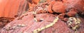 Uluru close up