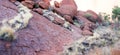 Uluru close up Royalty Free Stock Photo