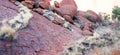 Uluru close up