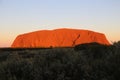 Uluru