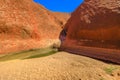 Uluru Mutitjulu Waterhole
