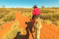 Uluru Camel Tours Royalty Free Stock Photo