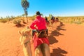 Camel Tours in Uluru Royalty Free Stock Photo